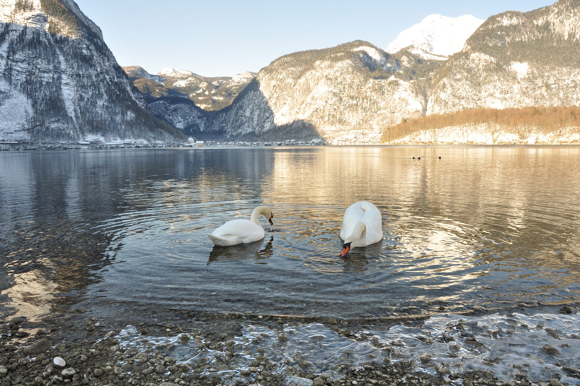 Obertraun